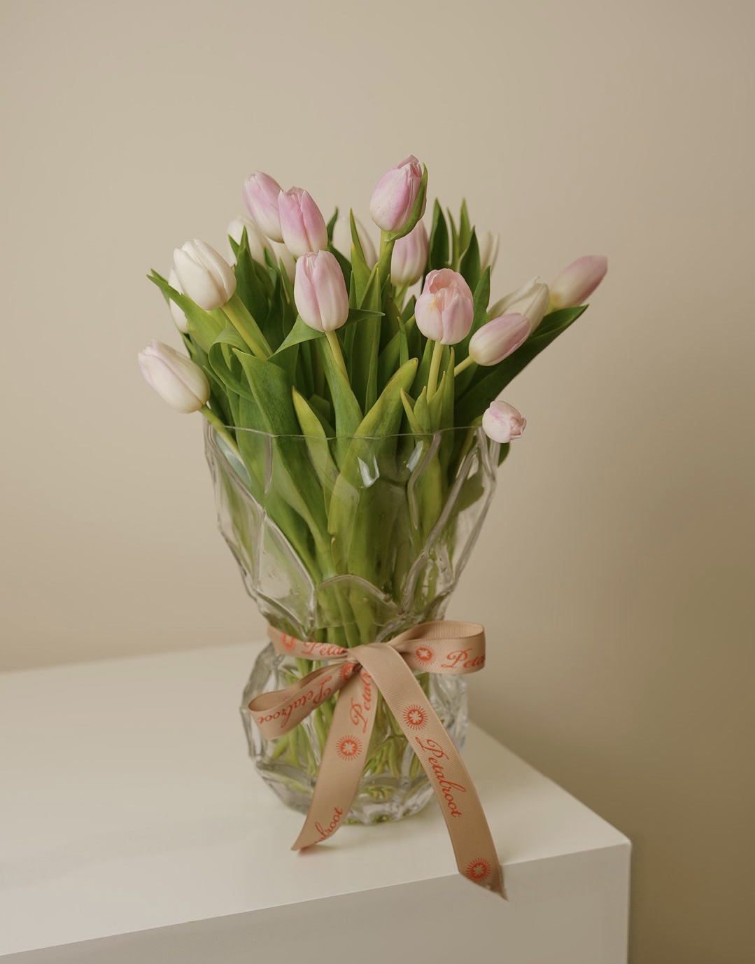 Tulip Blush